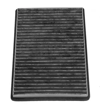Filter, cabin air 80004653