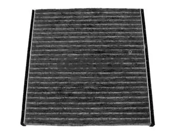 Filter, cabin air 80001173