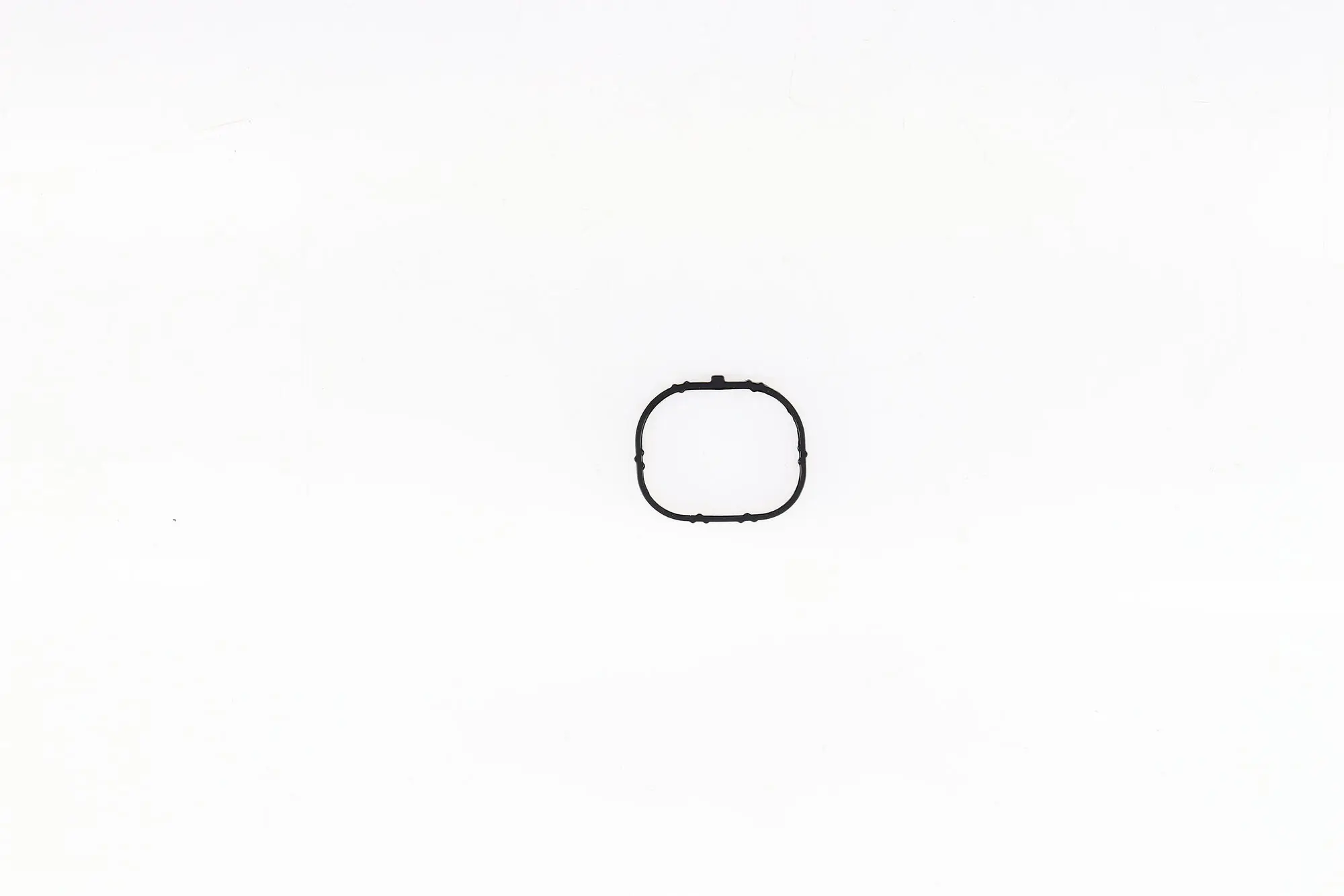 Gasket, intake manifold 450384P