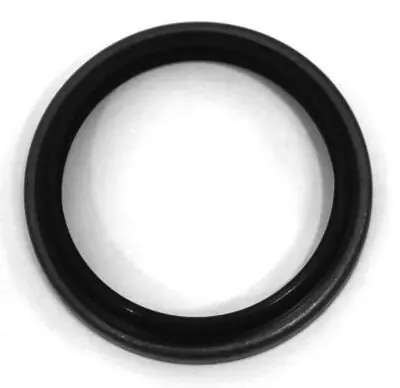 Seal Ring, brake shoe 12018858B