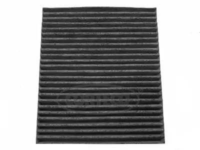 Filter, cabin air 80001207