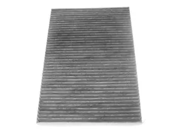Filter, cabin air 21652855