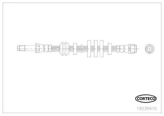 CORTECO 19036610 Brake Hose