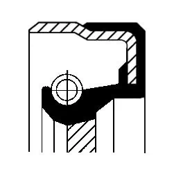 Shaft Seal, crankshaft 12001475B