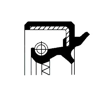 Shaft Seal, wheel hub 12011175B