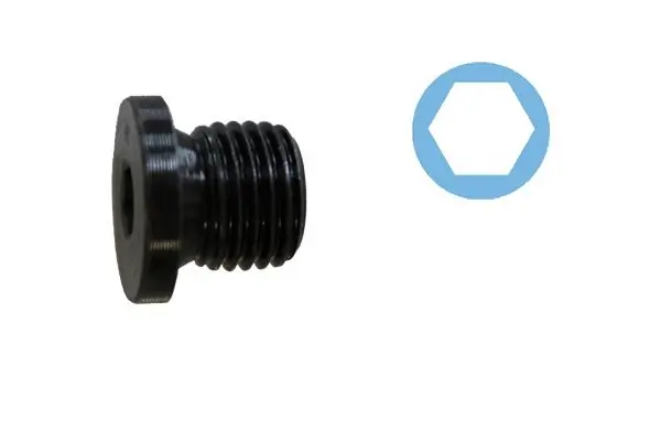 Screw Plug, oil sump 220075H