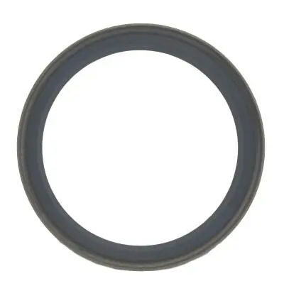 Seal Ring, steering knuckle 12006467B