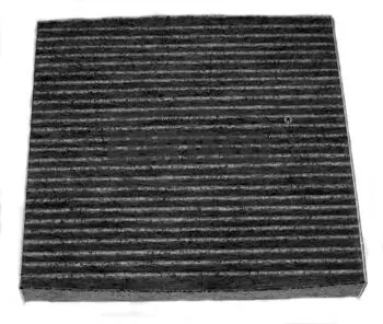 Filter, cabin air 80001184