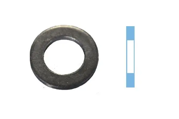 Seal Ring, oil drain plug 005504H