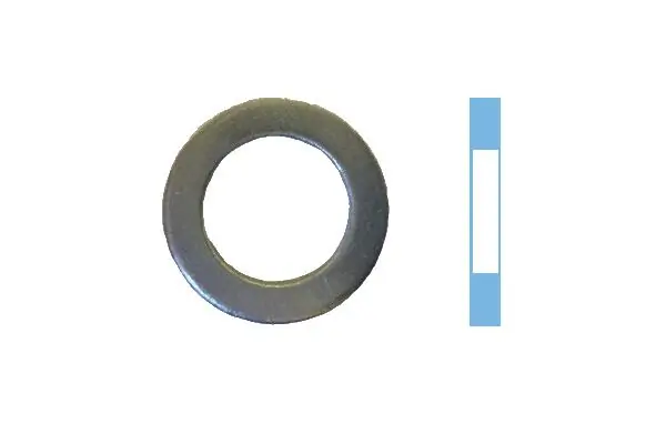 Seal Ring, oil drain plug 005522S