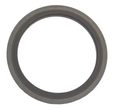 Shaft Seal, transfer case 12029762B