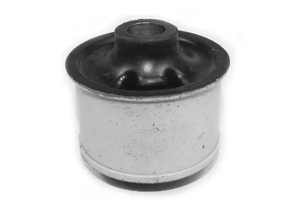 Mounting, control/trailing arm 49398427