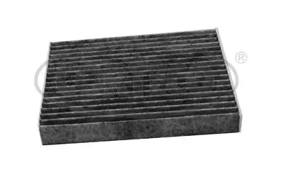 Filter, cabin air 80004702