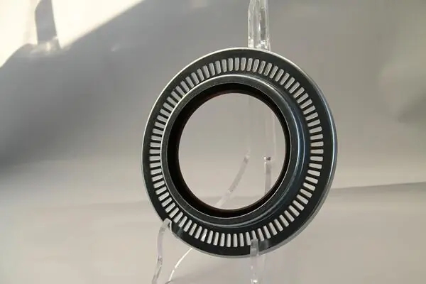 Shaft Seal, wheel hub 19036896B