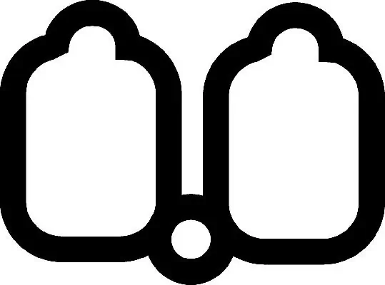 Gasket, intake manifold 023216H