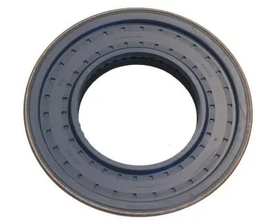 Shaft Seal, differential 12006479B