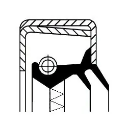 Shaft Seal, wheel hub 12015758B