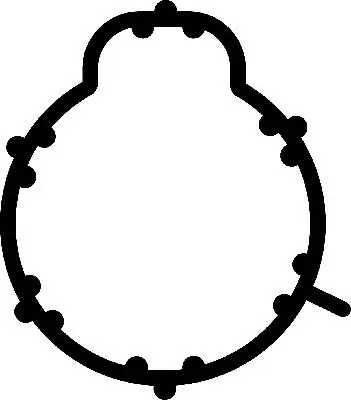 Gasket, intake manifold 450144H