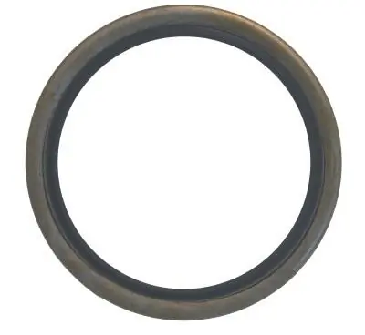 Seal Ring, steering knuckle 12006469B