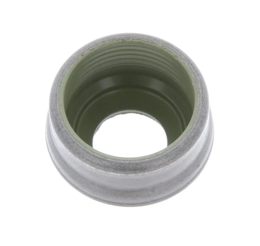 Seal Ring, valve stem 49472020