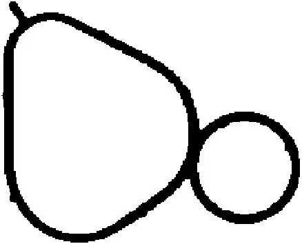 Gasket, intake manifold 450263P