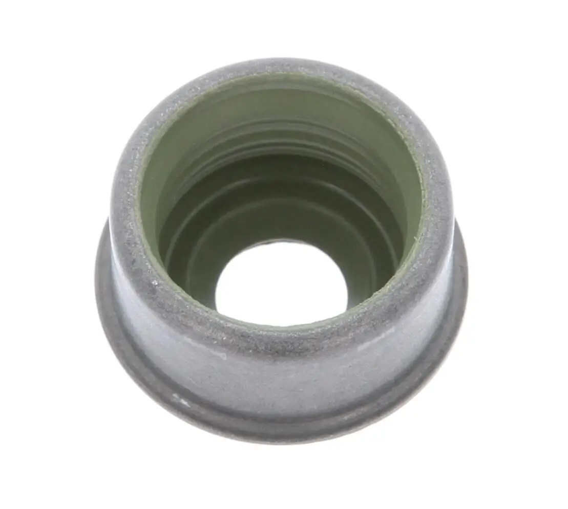 Seal Ring, valve stem 49472019