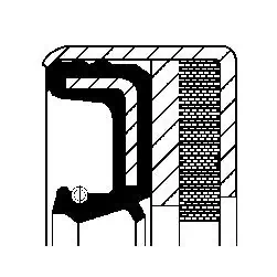 Shaft Seal, differential 12001902B
