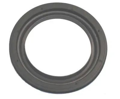 Shaft Seal, differential 12035267B