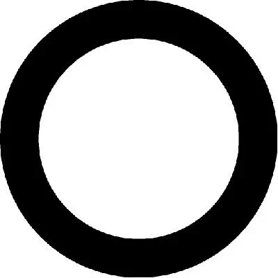 Gasket, intake manifold 026455H