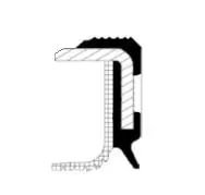 Shaft Seal, crankshaft 20025510B