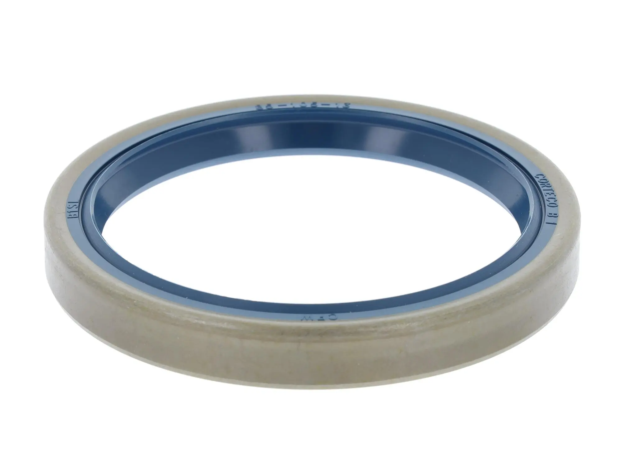 Shaft Seal, differential 12011359B