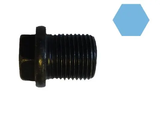 Screw Plug, oil sump 220155S