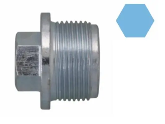 Screw Plug, oil sump 220076H