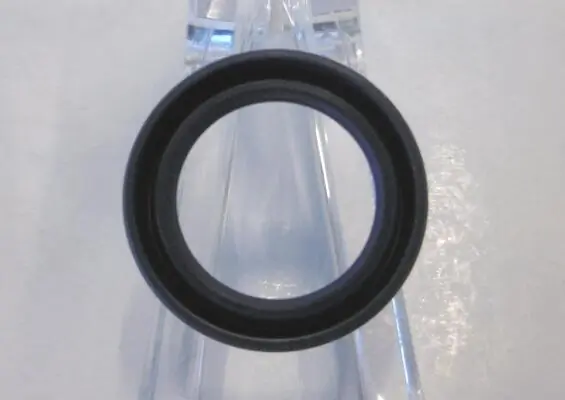 Seal Ring 12001989B