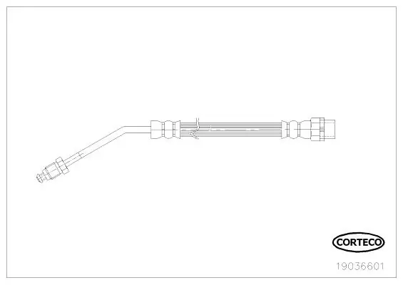 CORTECO 19036601 Brake Hose