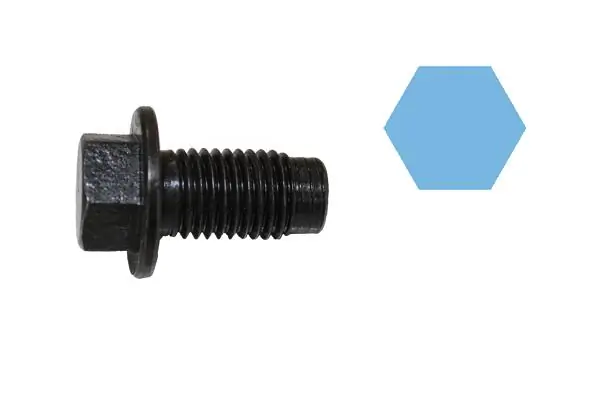 Screw Plug, oil sump 220070H