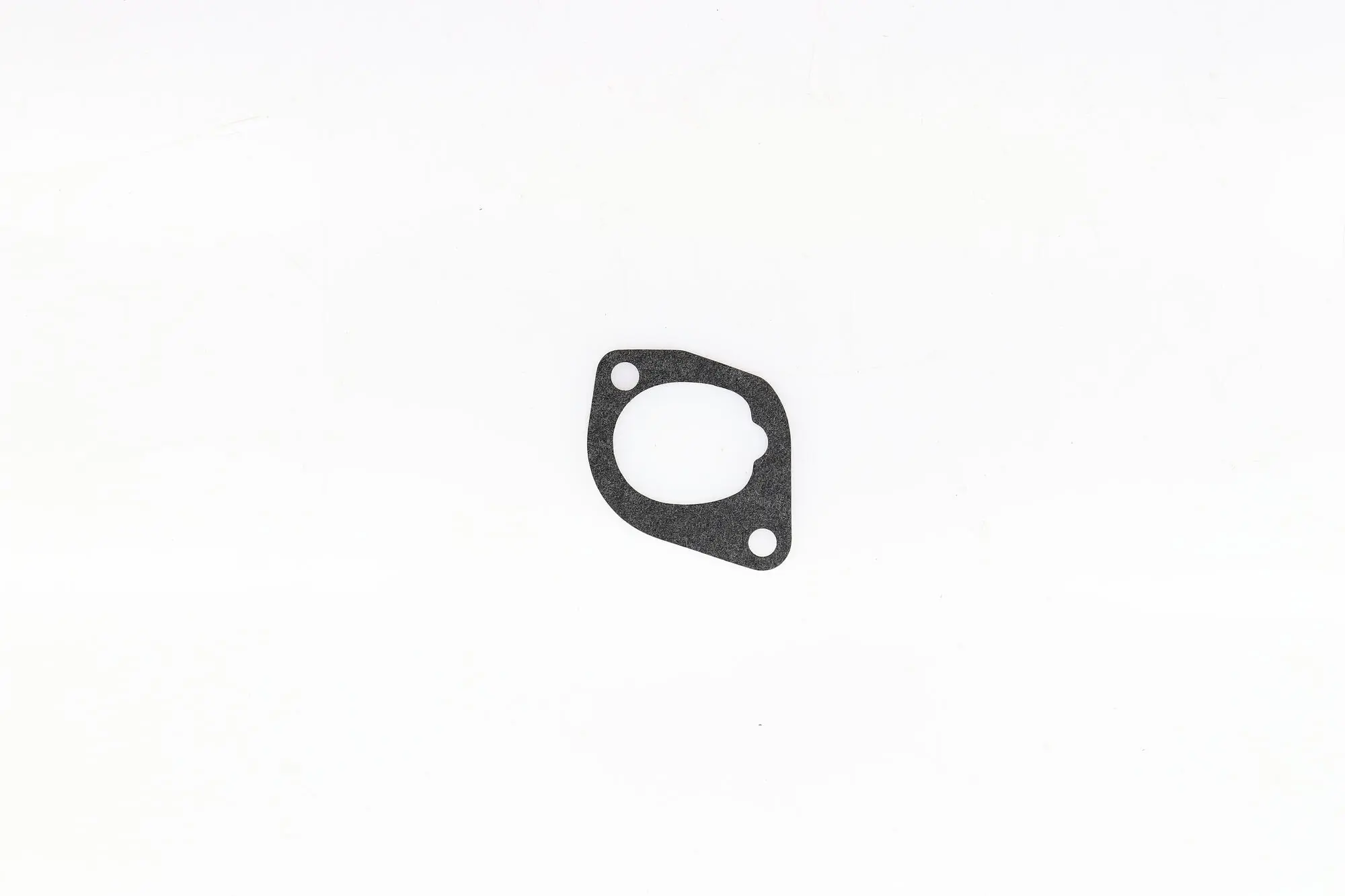 Gasket, intake manifold 450566H