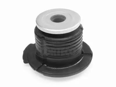 Bushing, axle beam 21652831