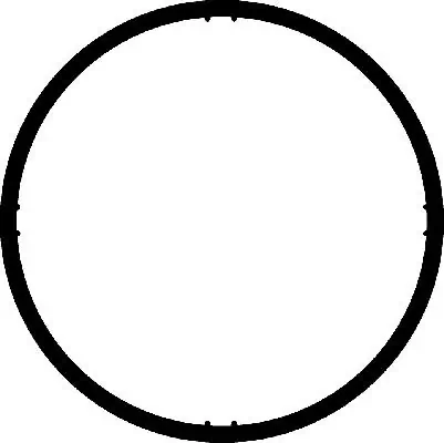 Gasket, intake manifold 026238H