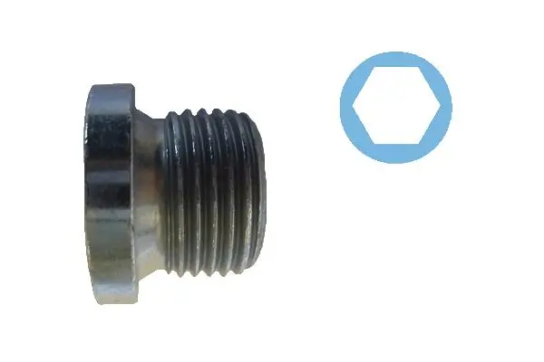 Screw Plug, oil sump 220088H