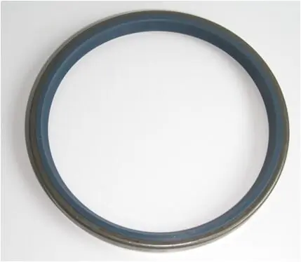 Shaft Seal, wheel hub 12017296B