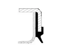 Shaft Seal, differential 20036959B