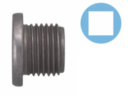 Screw Plug, oil sump 016321H