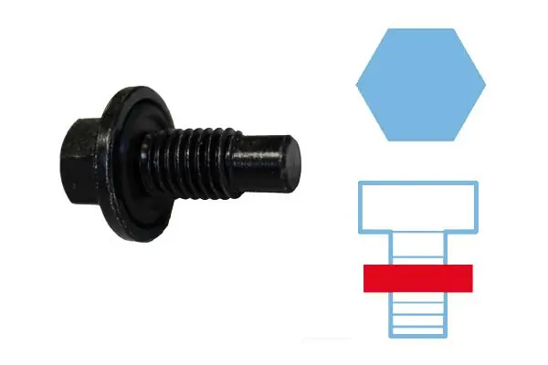 Screw Plug, oil sump 220129S