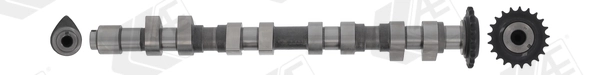 Camshaft CAM744