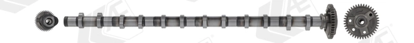 Camshaft CAM1028