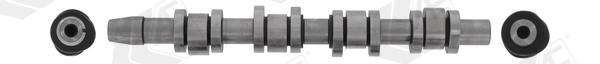 AE CAM1009 Camshaft