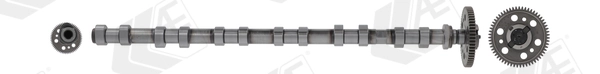 AE CAM1017 Camshaft
