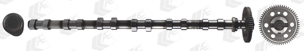 AE CAM1017 Camshaft