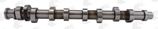 Aci Sesondol CAM745